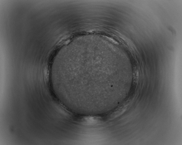 X0000116790558200912311919