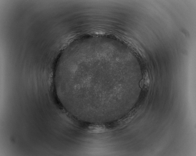 X0000116790559200912311919