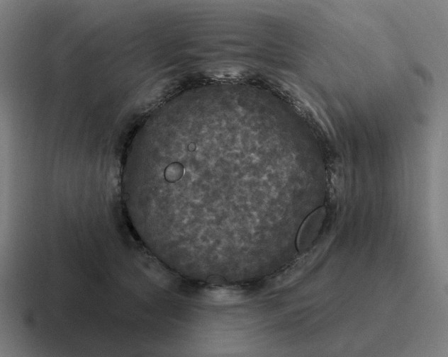 X0000116790561200912311919