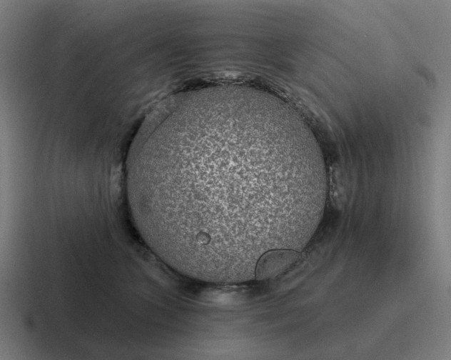 X0000116790563200912311919