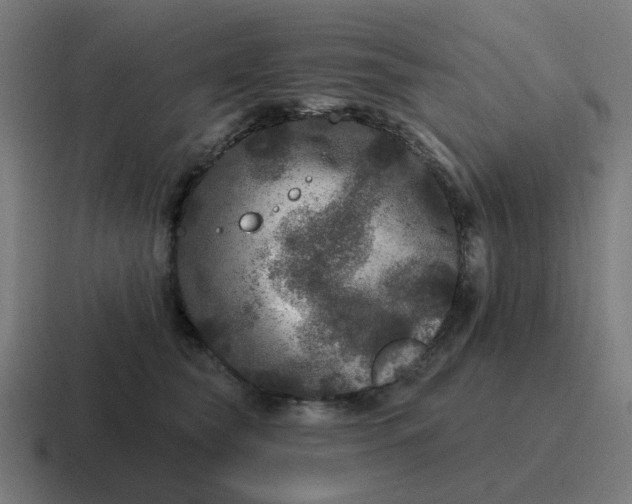 X0000116790565200912311919