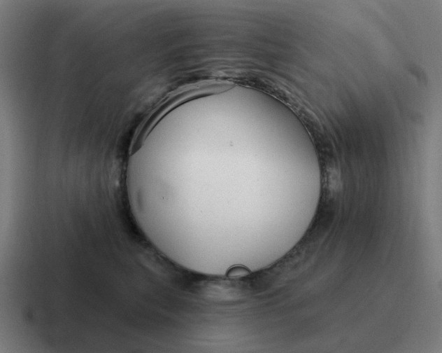 X0000116790567200912311919