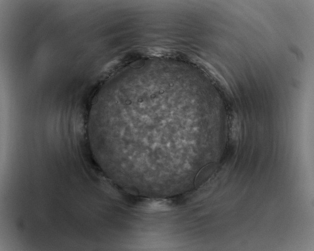 X0000116790569200912311919