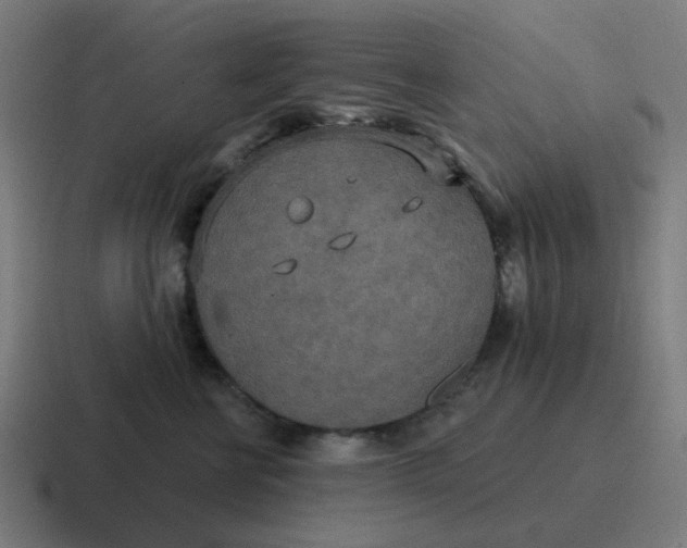 X0000116790570200912311919