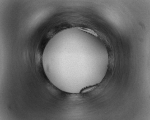 X0000116790574200912311919