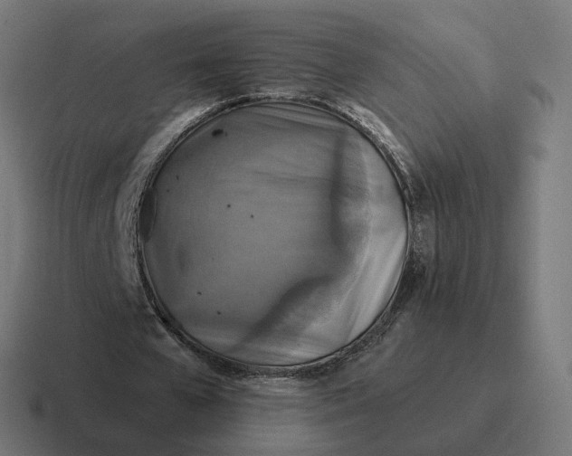 X0000116790577200912311918