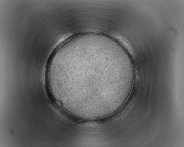 X0000116790578200912311918