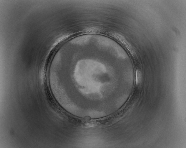 X0000116790579200912311918