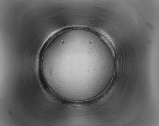 X0000116790580200912311918