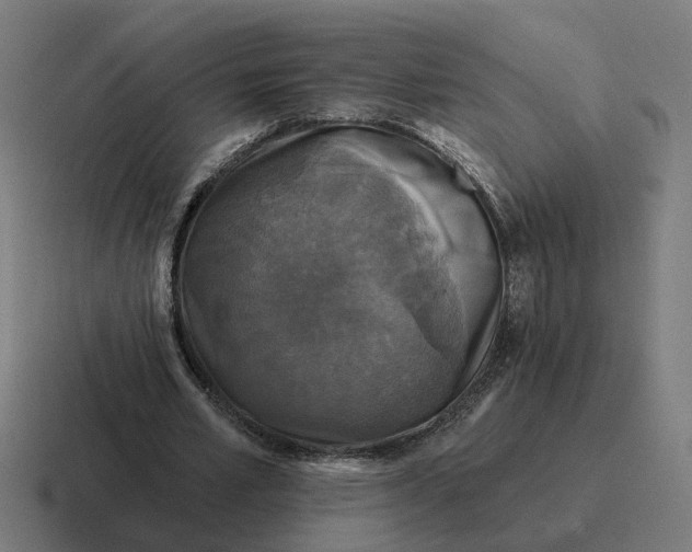 X0000116790581200912311918