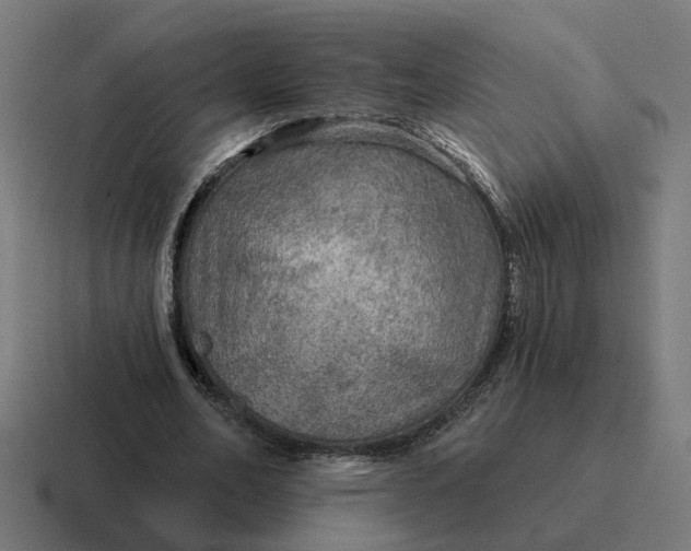 X0000116790582200912311918