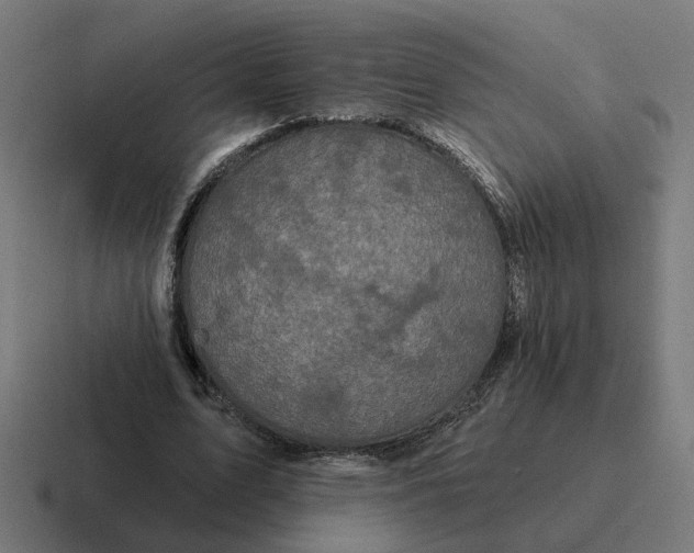 X0000116790583200912311918