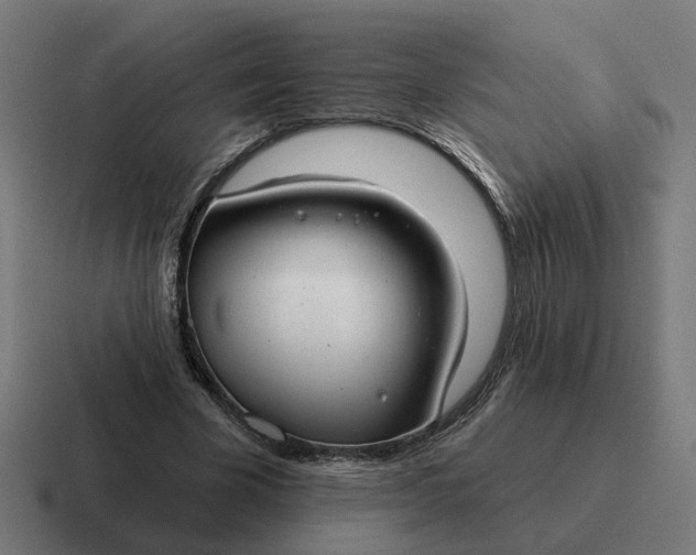 X0000116790585200912311918