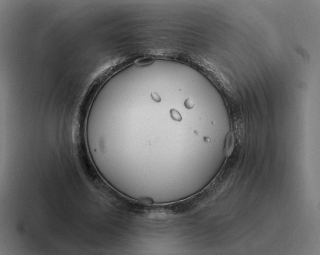 X0000116790587200912311918