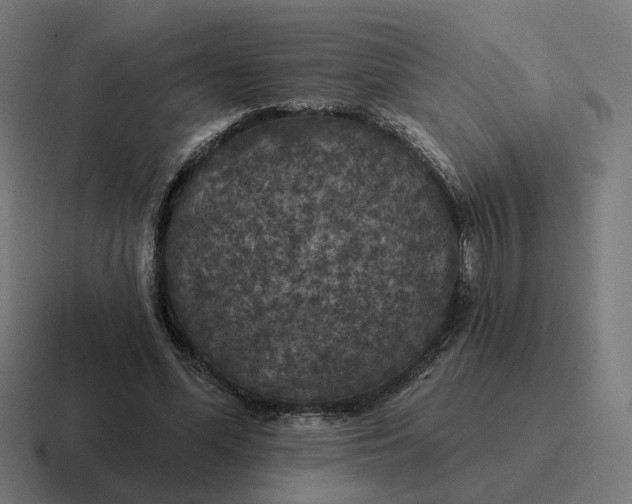 X0000116790588200912311918