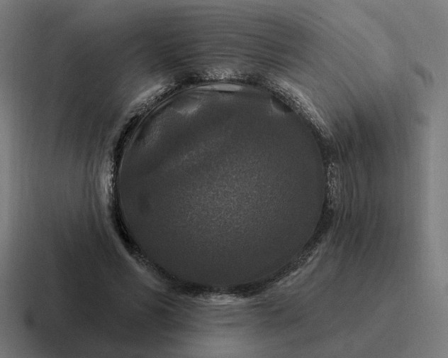 X0000116790590200912311918