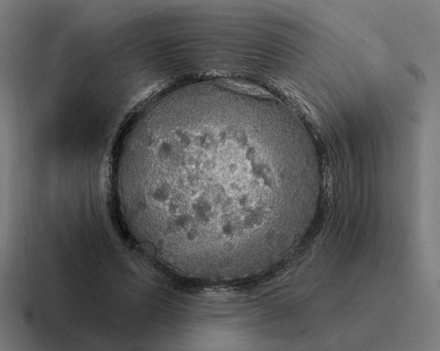 X0000116790591200912311918