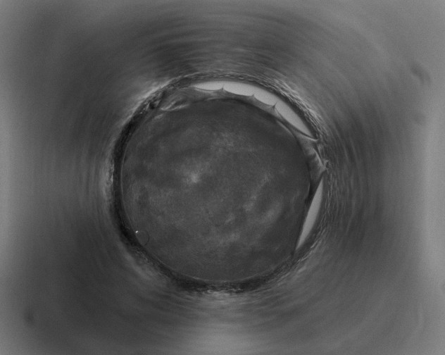 X0000116790592200912311918