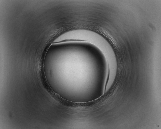 X0000116790593200912311918