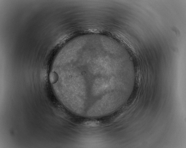 X0000116790595200912311918