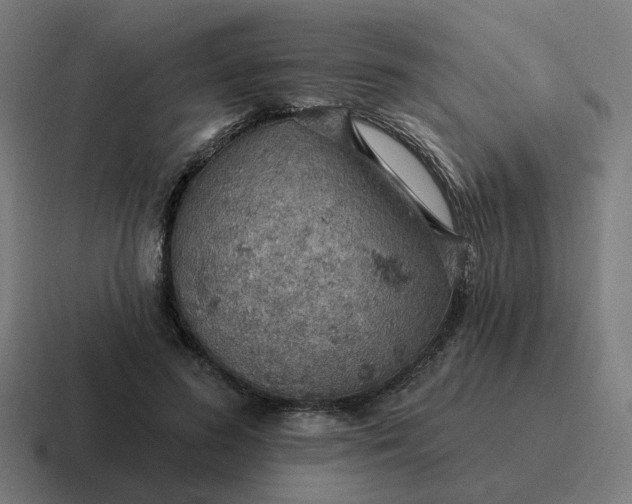 X0000116790596200912311918