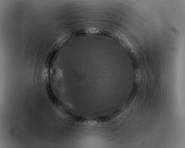 X0000116790598200912311918