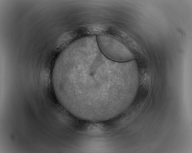 X0000116790599200912311918