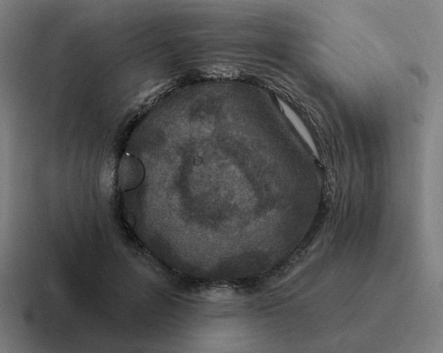 X0000116790600200912311918