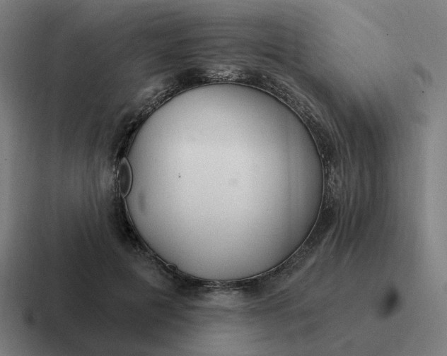 X0000116790601200912311918