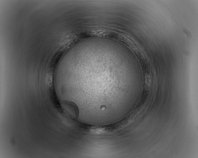 X0000116790602200912311918