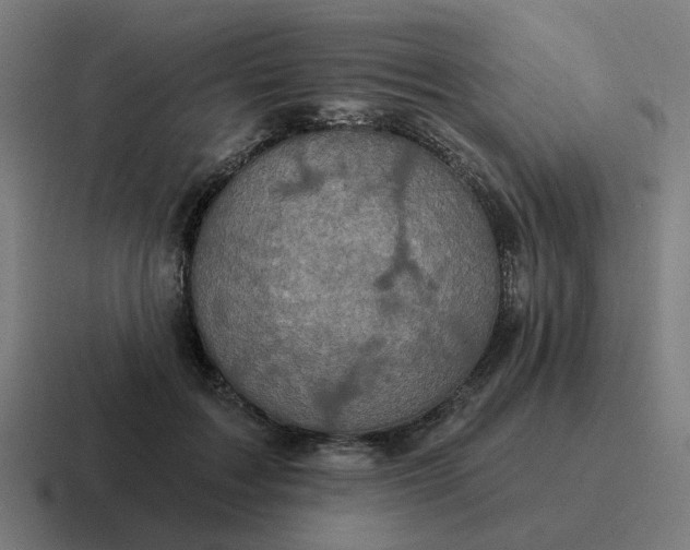 X0000116790603200912311918