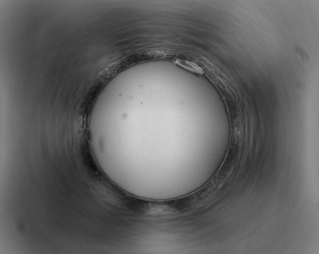 X0000116790605200912311918