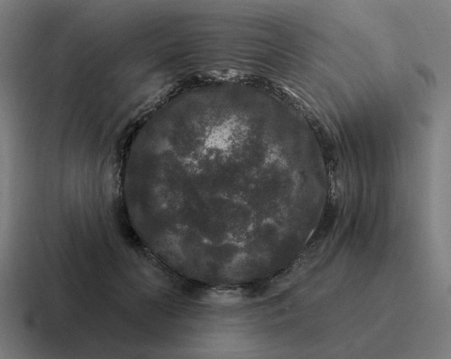 X0000116790606200912311918