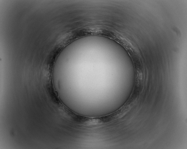 X0000116790609200912311918