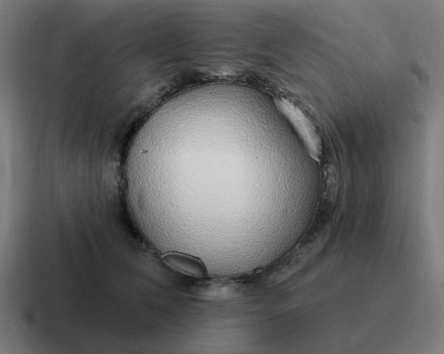 X0000116790612200912311918