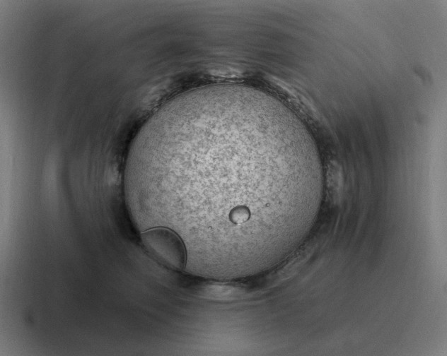 X0000116790614200912311918