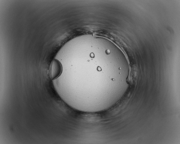 X0000116790615200912311918