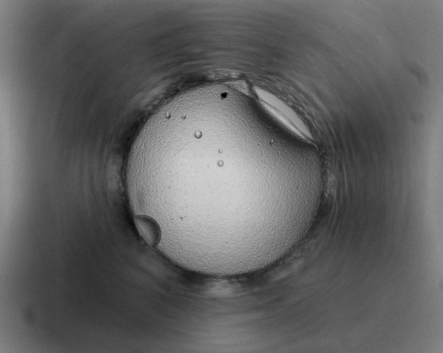 X0000116790616200912311918