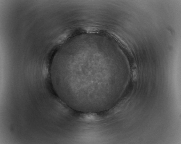 X0000116790618200912311918