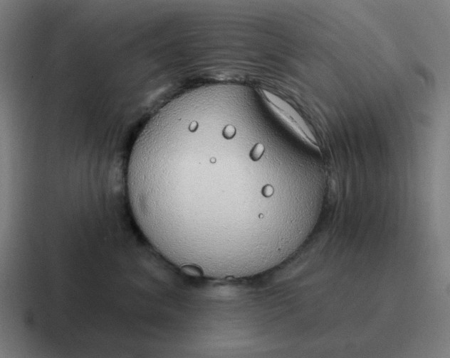 X0000116790620200912311918