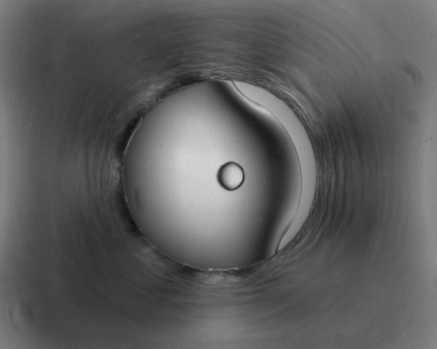 X0000116790621200912311918