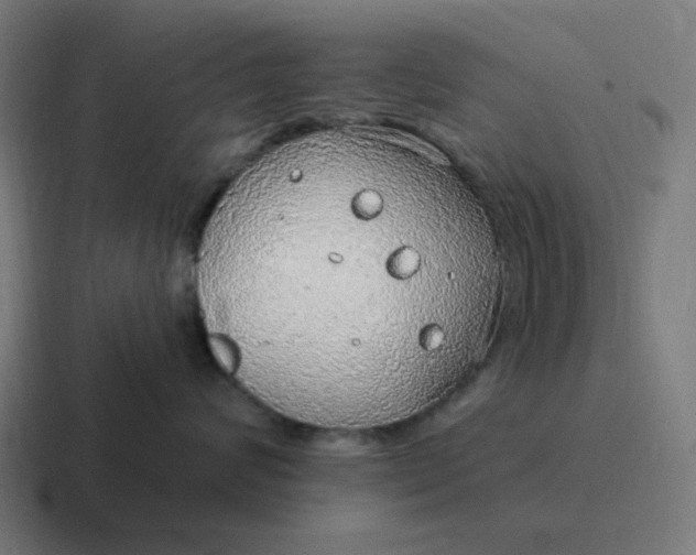 X0000116790624200912311918