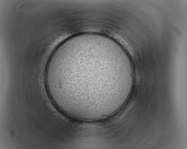 X0000116790625200912311917