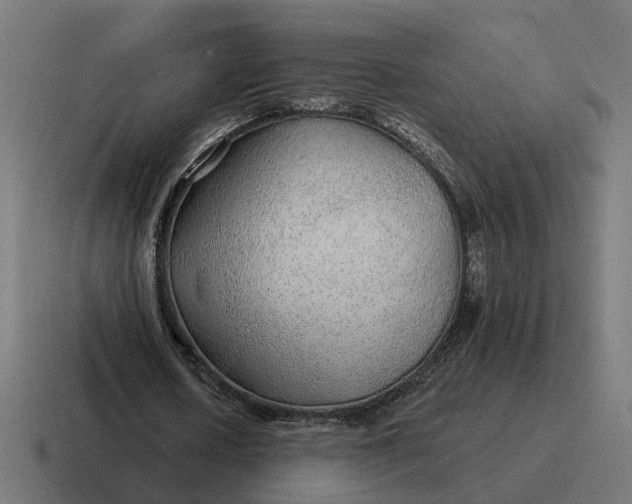 X0000116790626200912311917