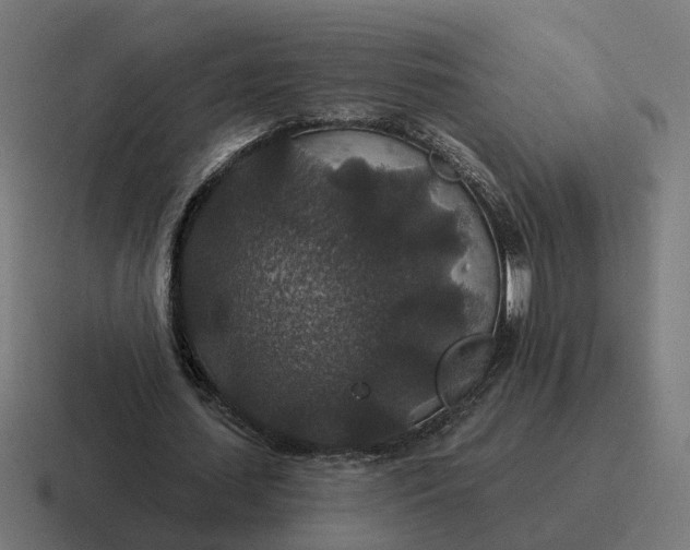 X0000116790627200912311917