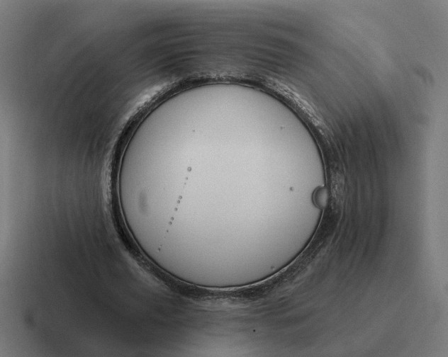 X0000116790629200912311917