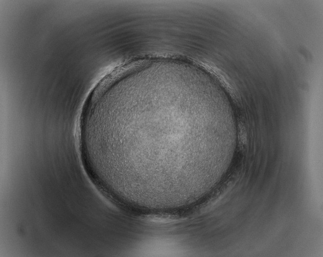 X0000116790630200912311917