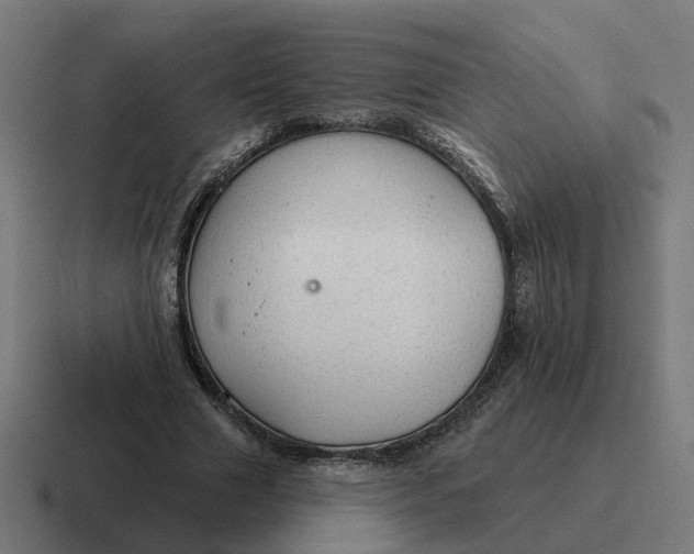 X0000116790633200912311917