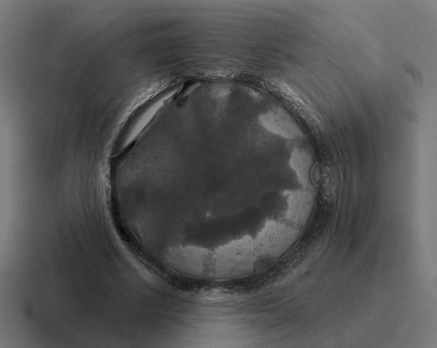 X0000116790634200912311917