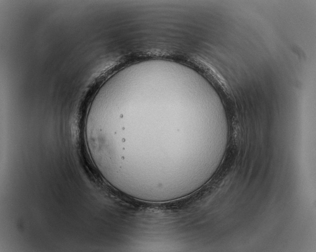 X0000116790635200912311917